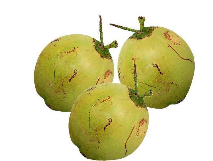 海口椰子  椰子鸡汤海南椰青批发 一年四季供货