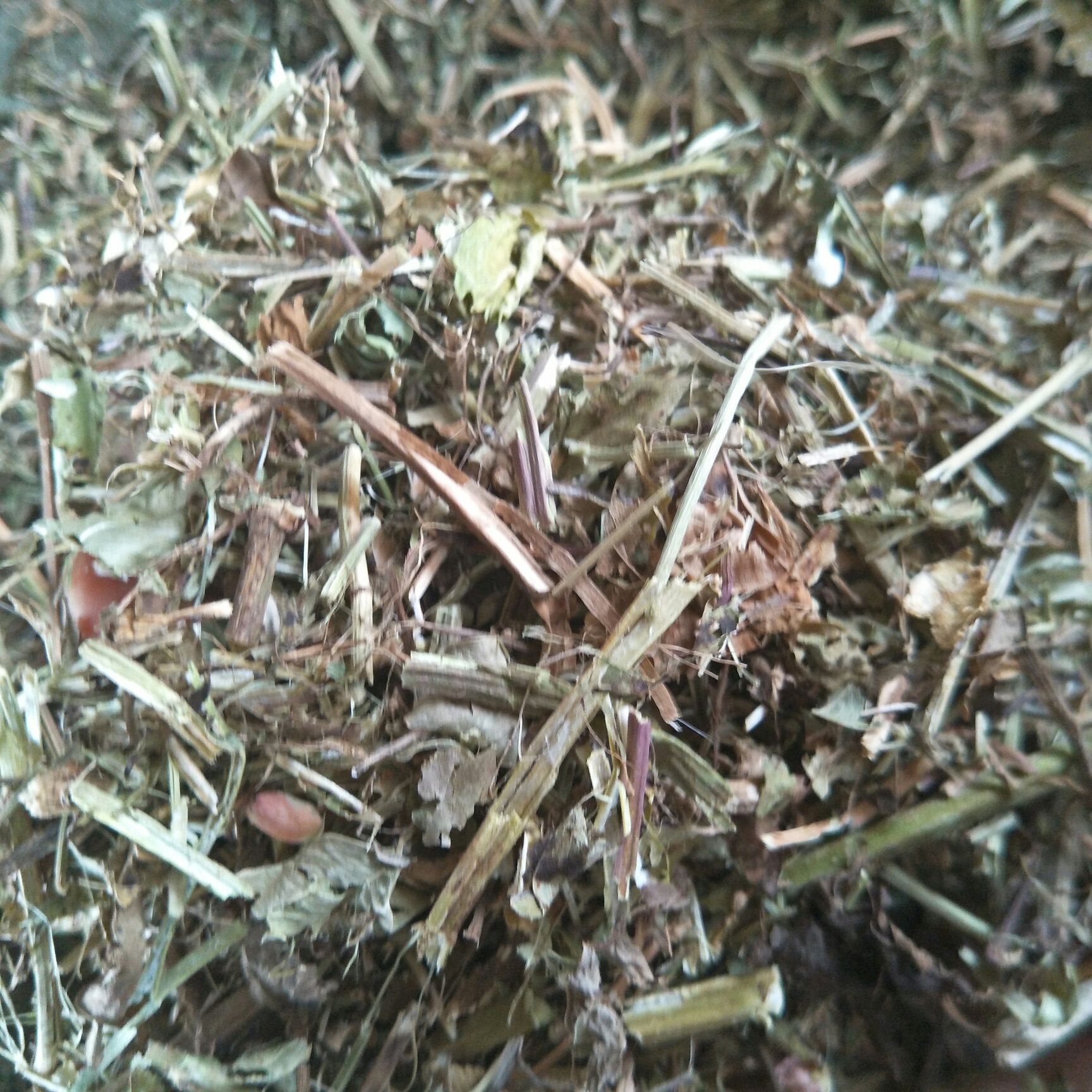 花生秧  ，牧康草业常年出售优质，牛草，羊草，，无土，无地膜