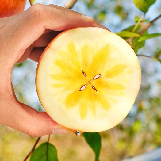 紅富士蘋(píng)果  臨猗冰糖心紅富士產(chǎn)地直供一件代發(fā)