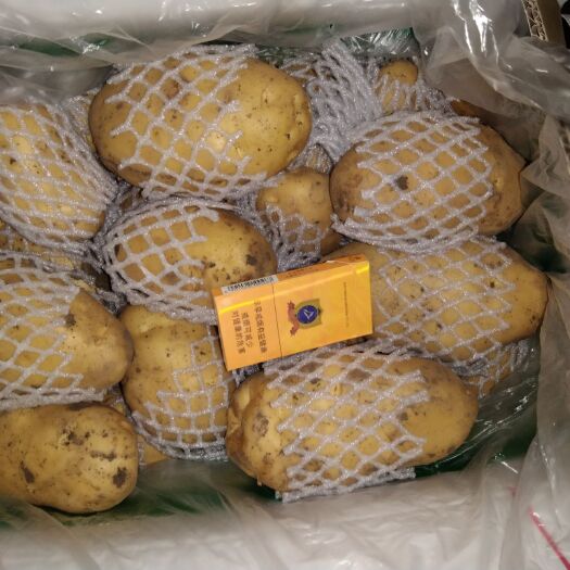胶州市荷兰806 3两以上 