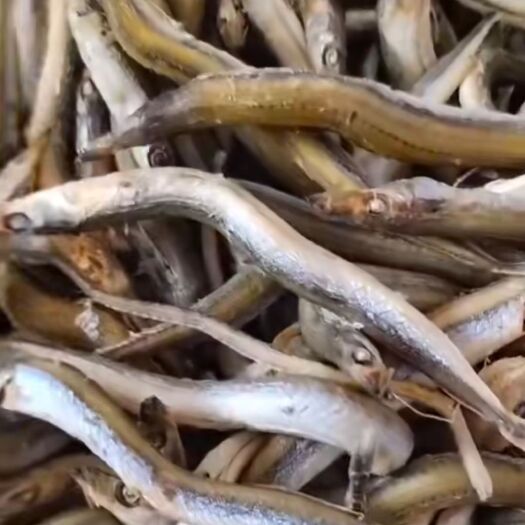 滨州银鱼干  银针鱼牙签鱼，，银针鱼