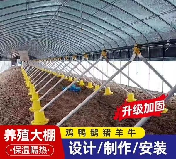 蔬菜大棚 温室大棚骨架钢管定制蔬菜种植养殖养鸡简易农业连体连栋钢架配件