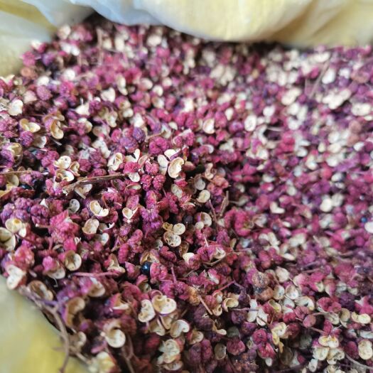 茂县大红袍花椒 特级 干花椒 