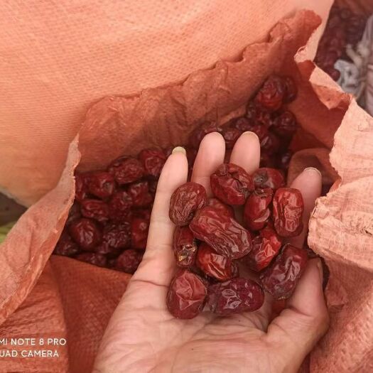 牛羊饲料 红枣，牛羊料饲料级红枣