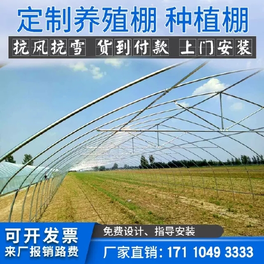 沭阳县蔬菜大棚 温室大棚骨架钢管定制蔬菜种植养殖养鸡简易农业连体连栋钢架配件