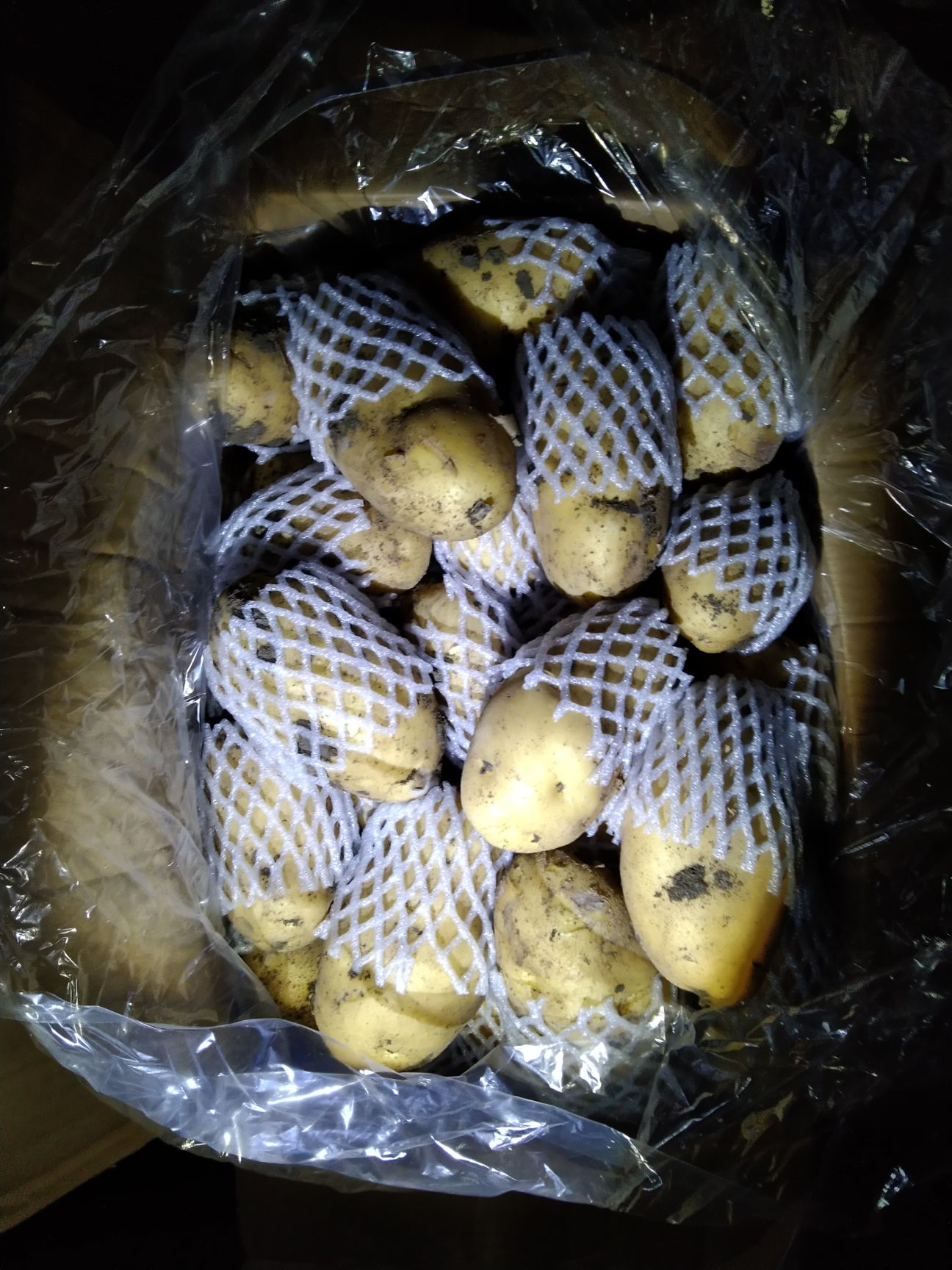 荷兰806 3两以上 