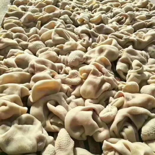 十成熟羊肚