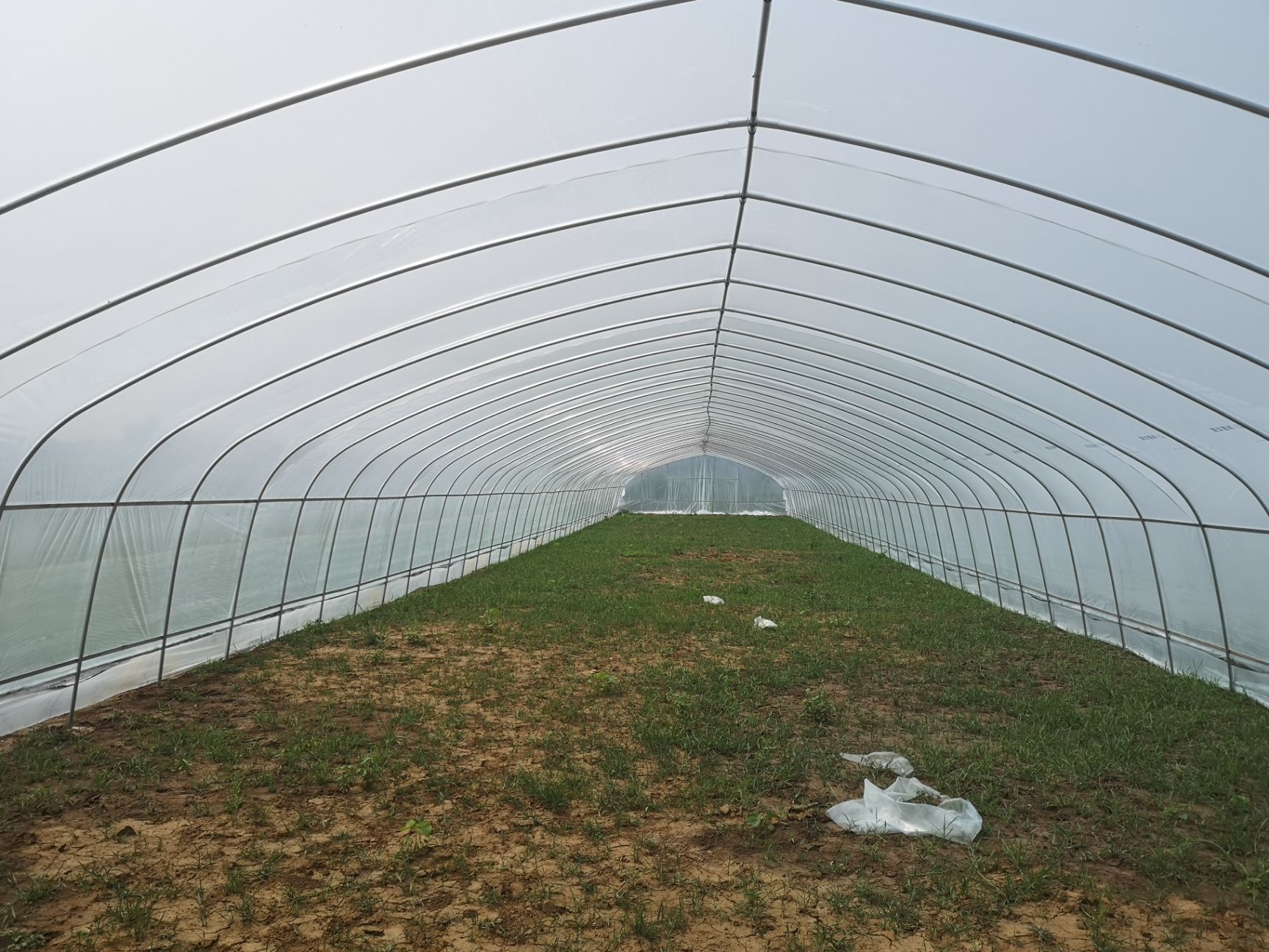 蔬菜大棚 温室大棚骨架钢管定制蔬菜种植养殖养鸡简易农业连体连栋钢架配件