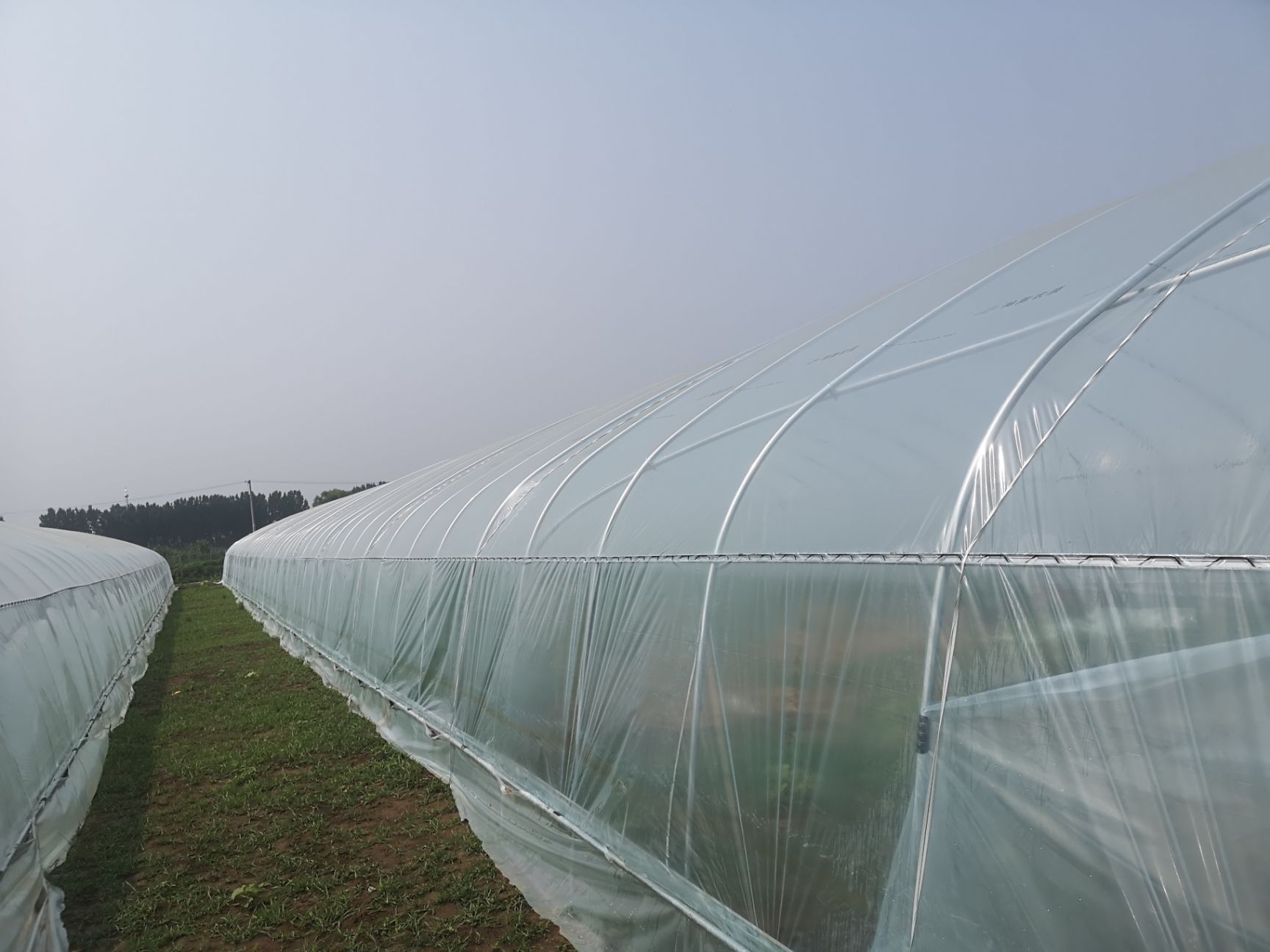 蔬菜大棚 温室大棚骨架钢管定制蔬菜种植养殖养鸡简易农业连体连栋钢架配件