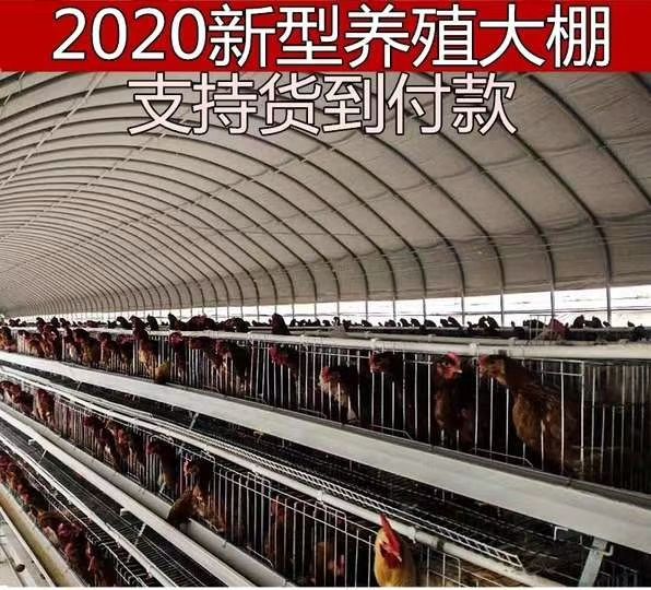 蔬菜大棚 温室大棚骨架钢管定制蔬菜种植养殖养鸡简易农业连体连栋钢架配件
