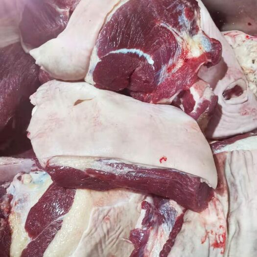 宁津县 国产现屠宰带皮去骨鲜马肉，不注水纯干肉。当天屠宰排酸后发货