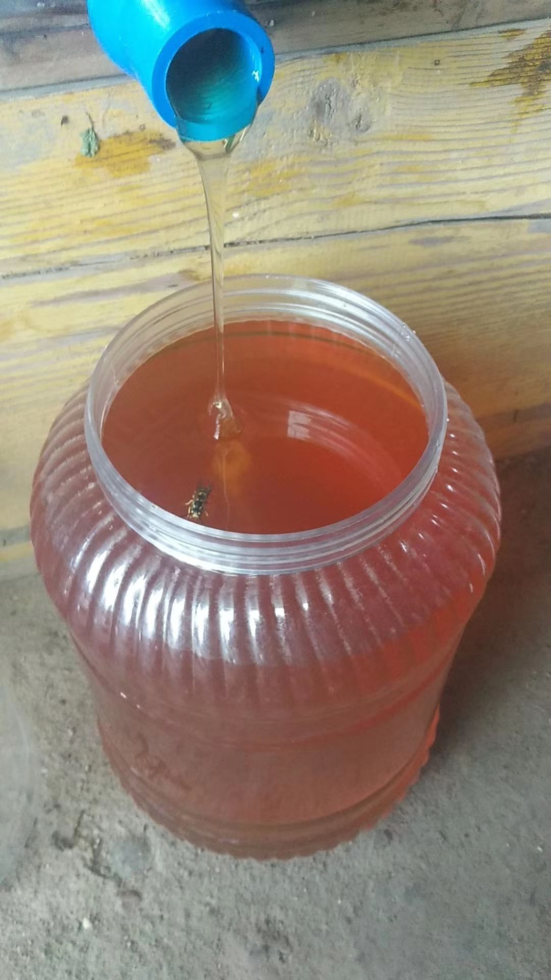  新疆伊犁哈萨克自治州纯正山花蜜