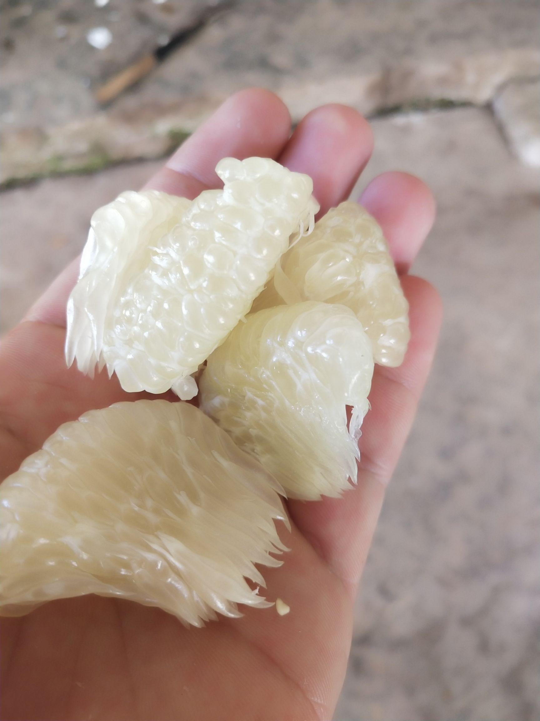 东试早柚 欢迎订购口感好味道鲜甜