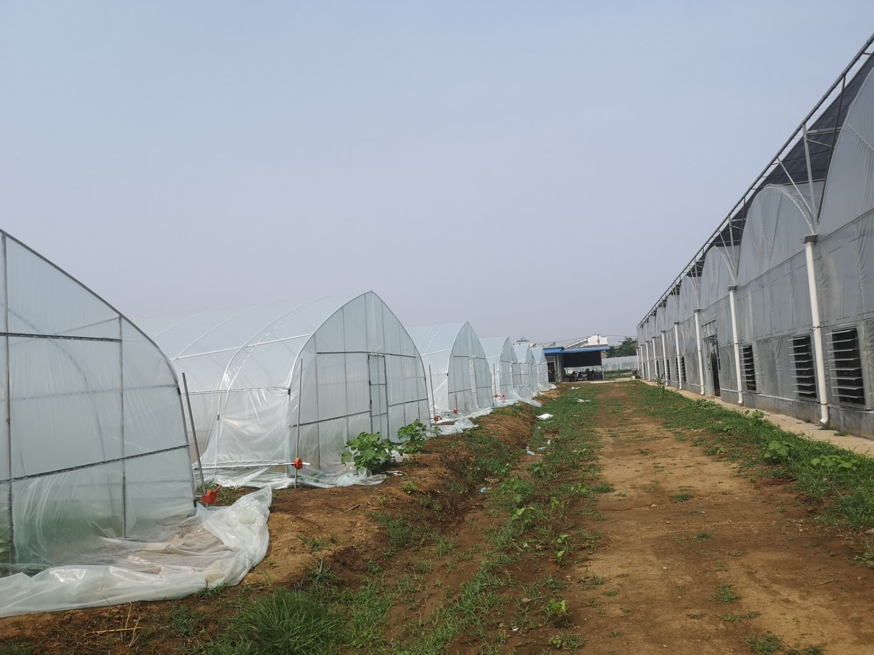 蔬菜大棚 温室大棚骨架钢管定制蔬菜种植养殖养鸡简易农业连体连栋钢架配件