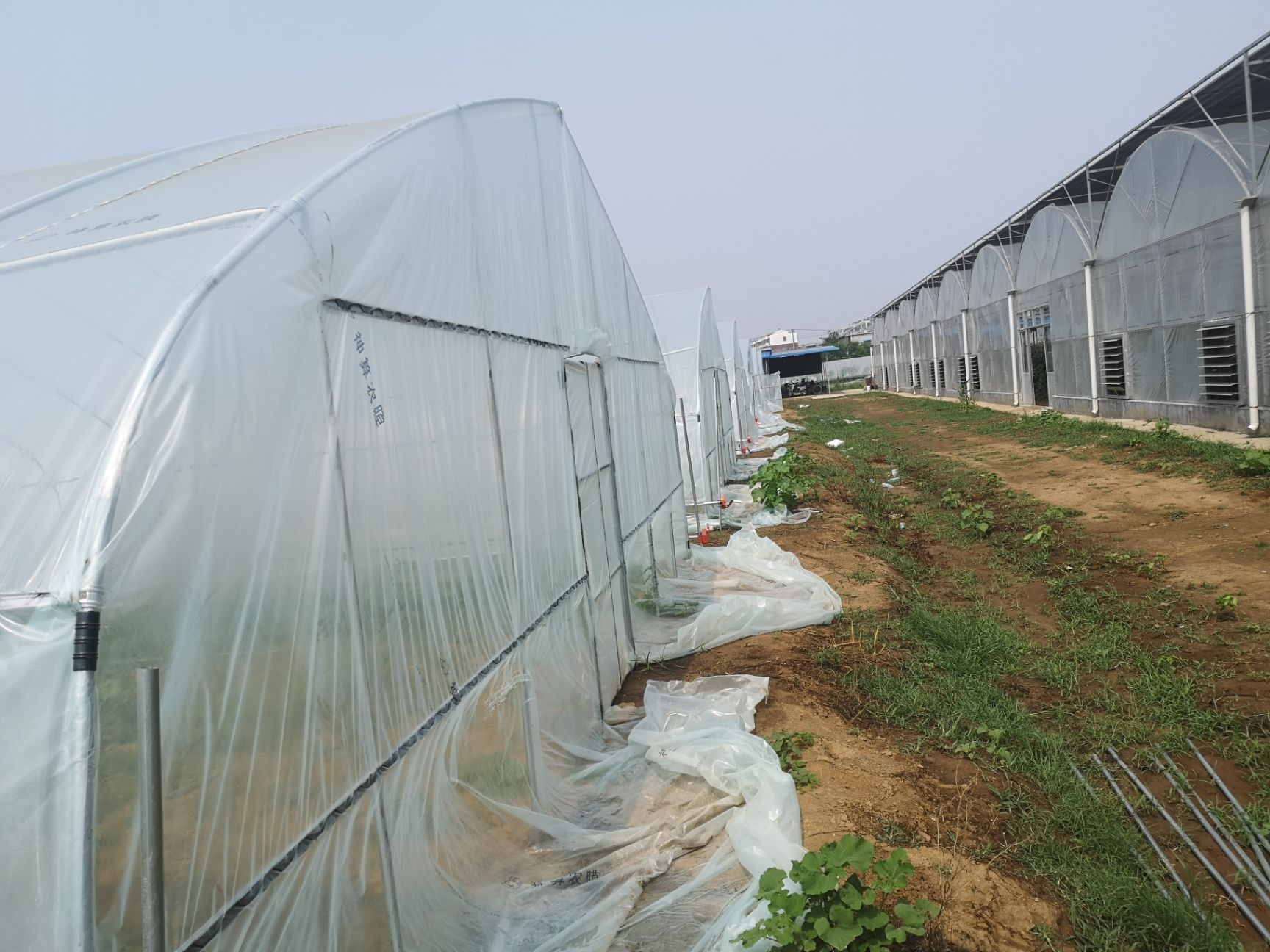 蔬菜大棚 温室大棚骨架钢管定制蔬菜种植养殖养鸡简易农业连体连栋钢架配件
