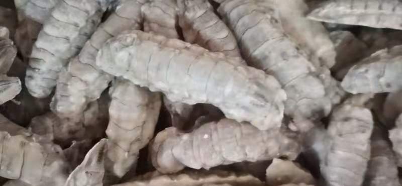 连云港 皮皮虾肉虾姑肉熟冻虾肉爬虾肉
