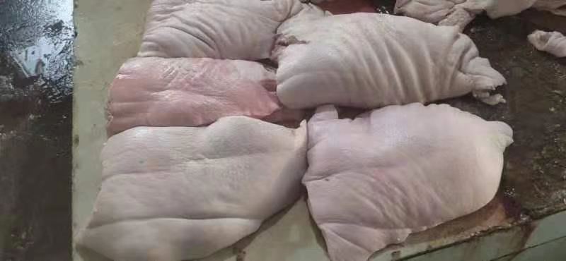 猪槽头肉 出售带皮，去皮槽头 四证齐全