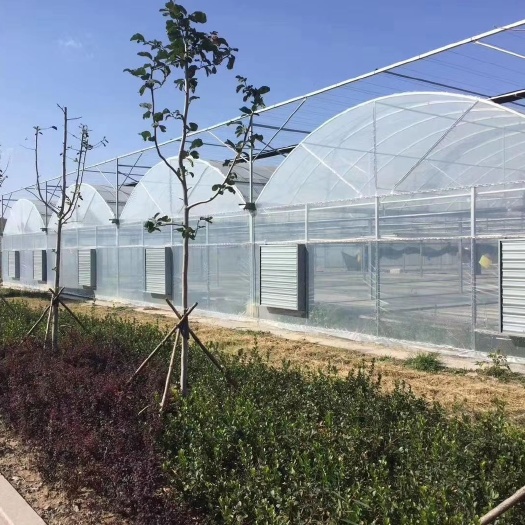 灌云县 各种连栋棚 蔬菜 兰花大棚 草莓连栋 定制请联系客服
