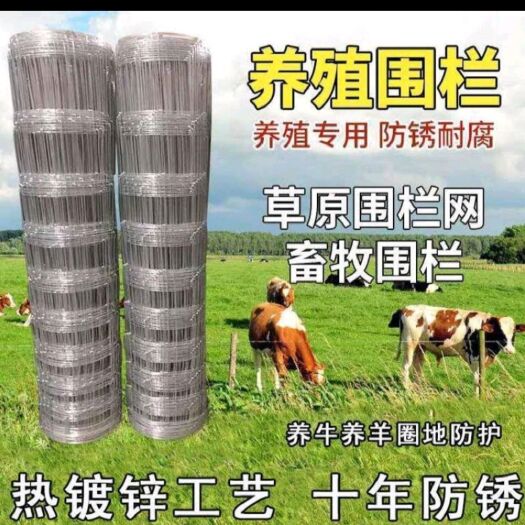 安平县荷兰网  护栏    牛栏网  养殖网