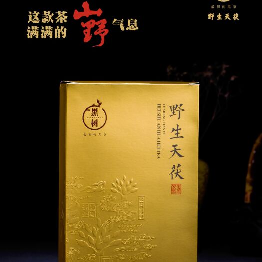 长沙安化黑茶 天茯茶