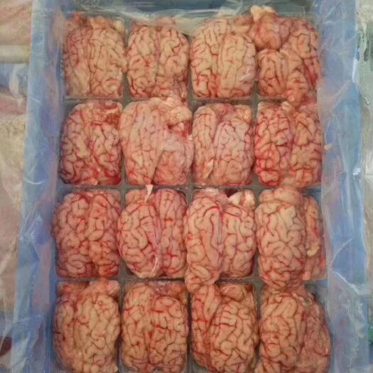 中牟县羊副产品 羊脑