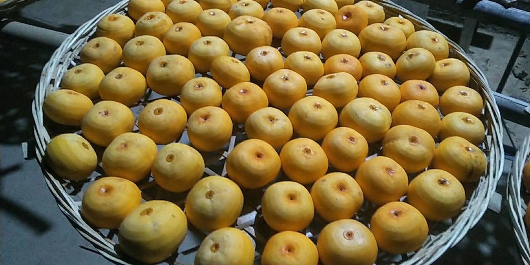 圆柿饼  广西桂林大山里的特产原汁原味，零男女老少