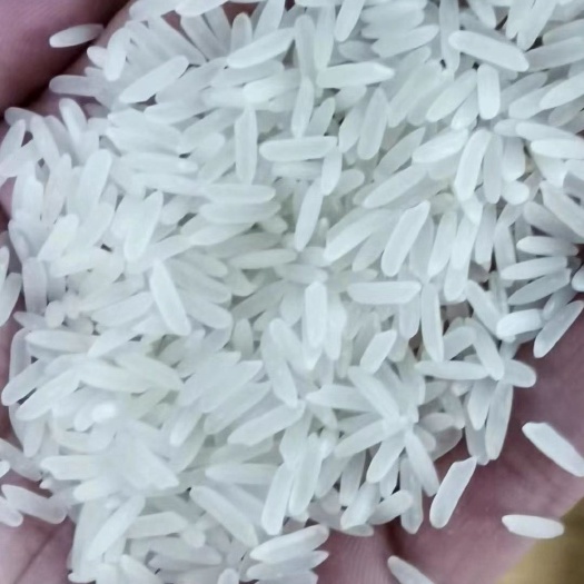 深圳 原装柬埔寨香米