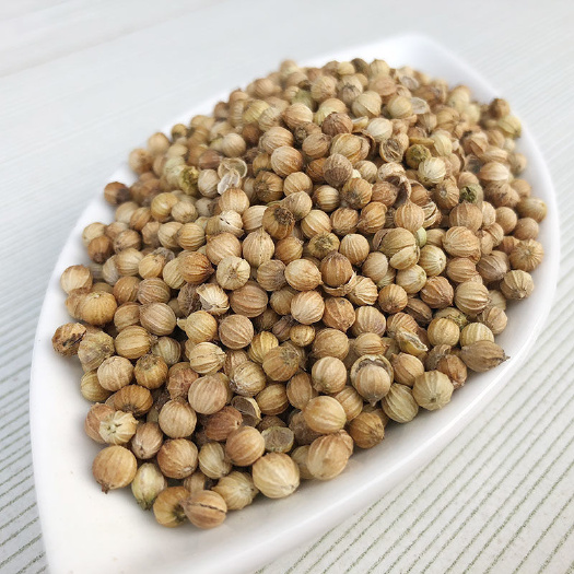 玉林香菜籽 香菜籽 芫荽籽 胡荽籽火锅底料调味香料 国产散货批发