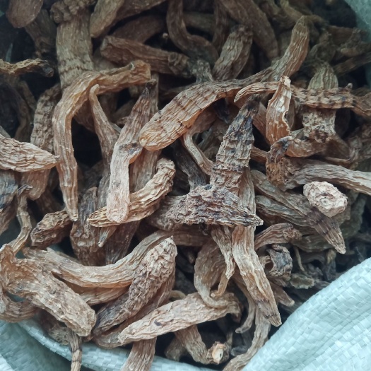 靖宇县天麻