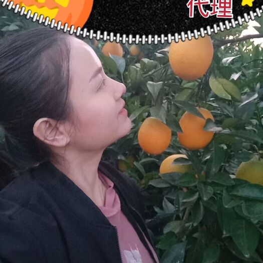 信丰县赣南脐橙