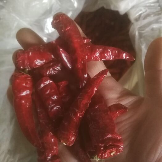柘城县烘干辣椒王干辣椒，香辣高辣，朝天椒干辣椒
