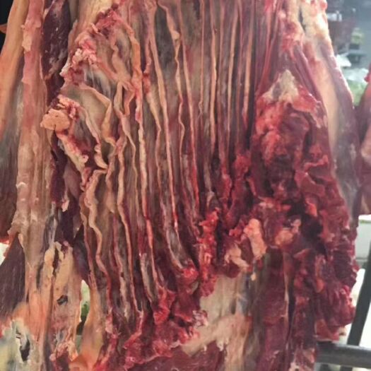 梓潼县牛肋条 生肉 
