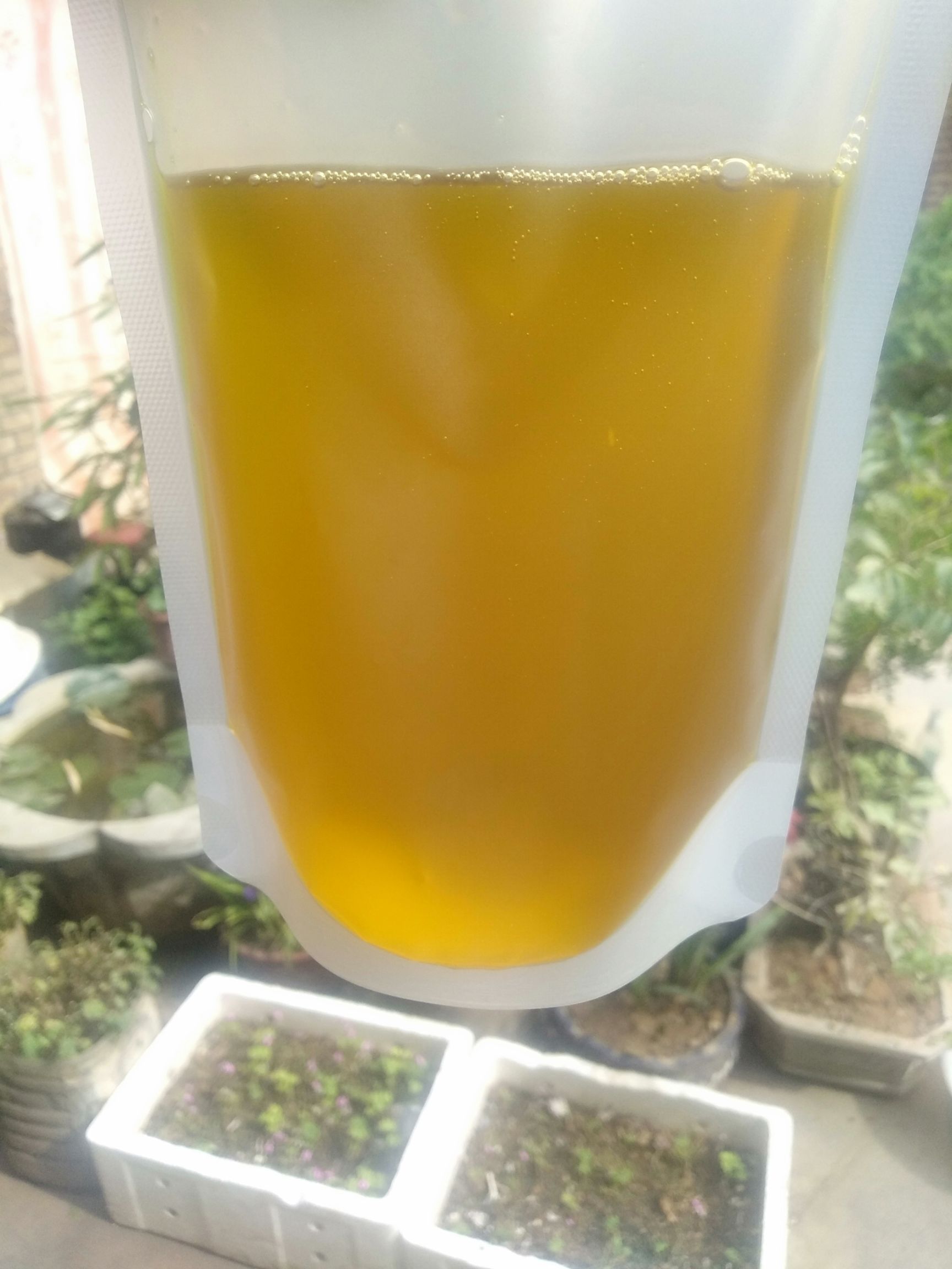 原味亚麻籽油，冷压榨，保存了它的原汁原味。