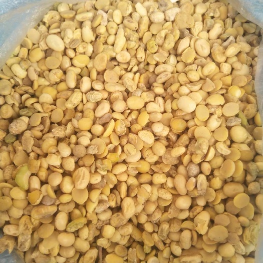 仙居县黄豆瓣 生大豆 3等品 