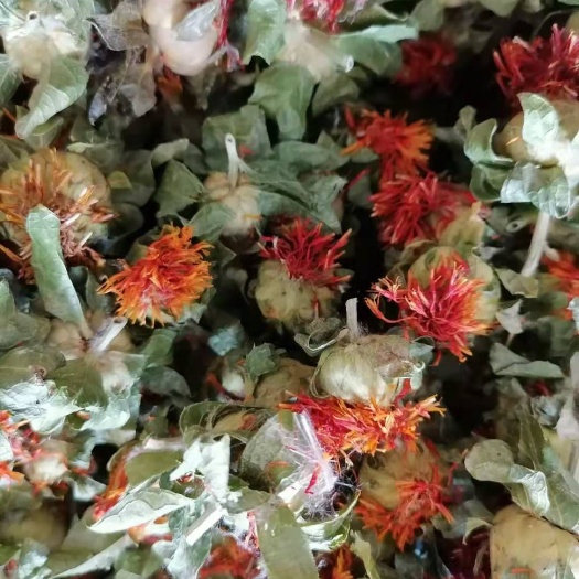 玉林藏红花，红花果，橙菠萝，冻库冷冻，花红叶绿