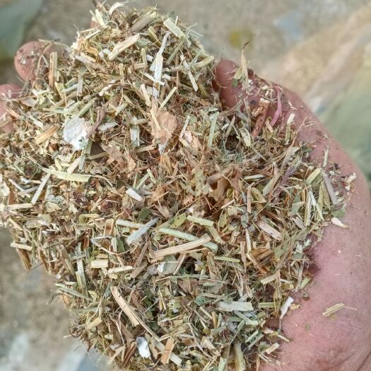 民权县秸秆类饲料 中草，小草常年供应