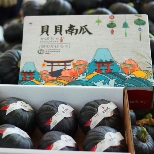 潍坊贝贝南瓜新鲜采摘来自山东潍坊潍城优质农产品产地直销