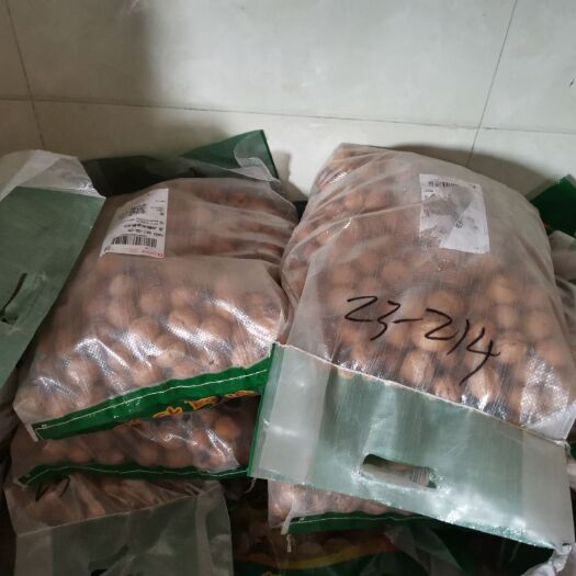 江华县薄皮核桃 新疆核桃