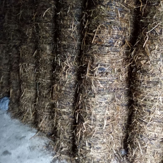 茶陵县茶饼，茶枯，茶柏