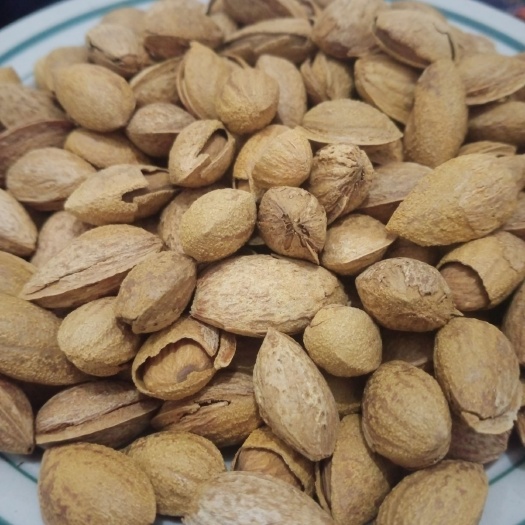 吐鲁番巴旦木 新疆薄皮巴达木   半斤装  果仁饱满 蛋白丰富  容易剥开