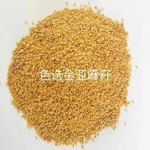 上海黄金亚麻籽色选加拿大黄金亚麻籽常年大货供应。生熟大货毛货