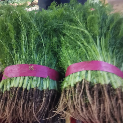 邯郸小茴香 一手货源，，质量优良需要的老板联系我