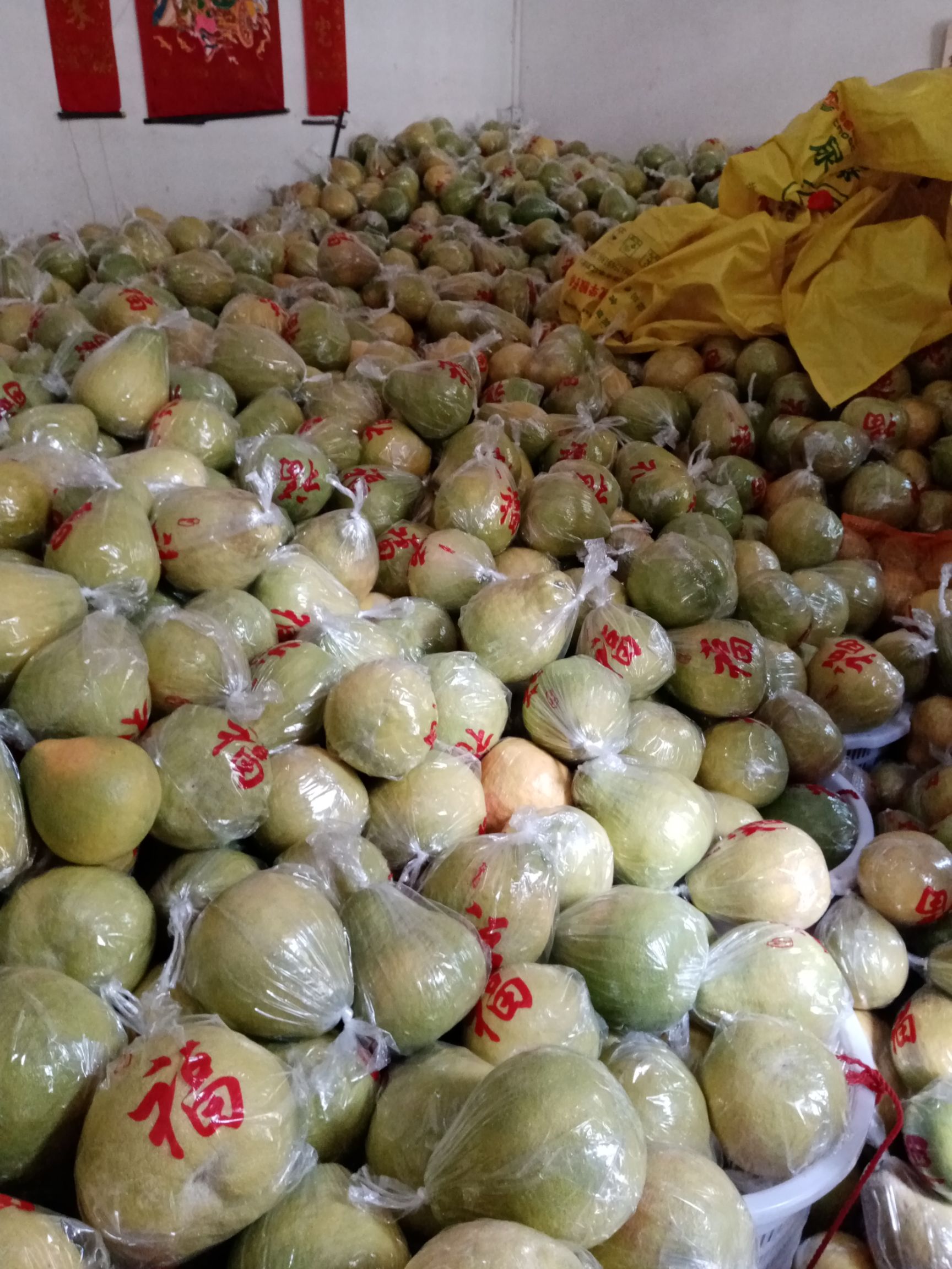 梅州沙田柚批发