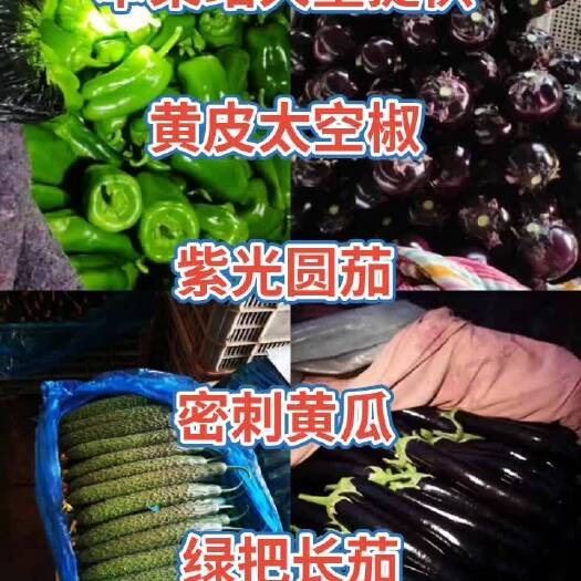 紫光圆茄  大量精品 大量电商 大量食堂，暖棚紫光圆茄！