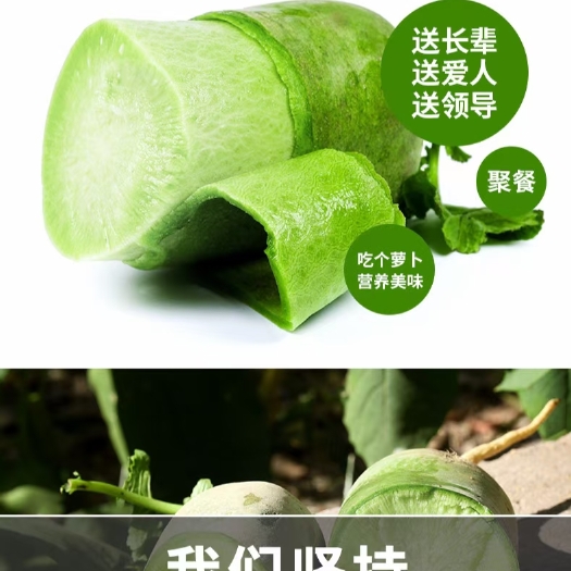 潍坊青萝卜  潍县萝卜，万亩大棚瓜茬萝卜，无代办费，实力代购，大