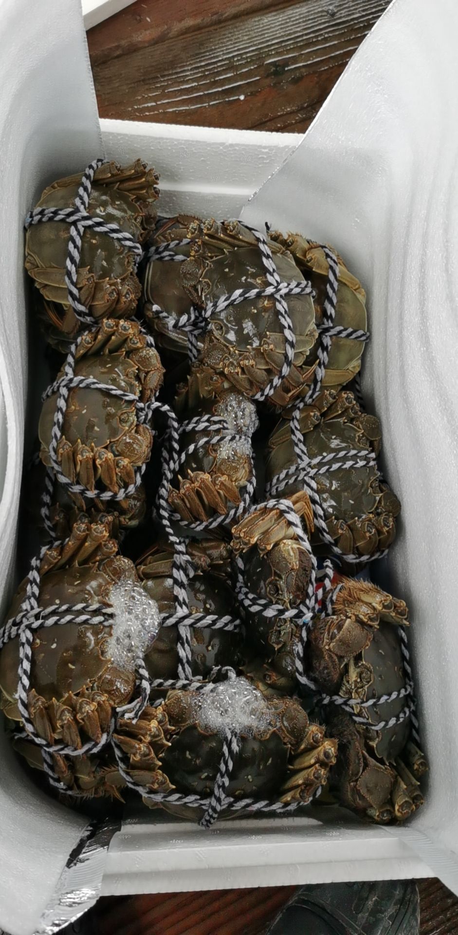 大闸蟹  货对版，说多大就多大