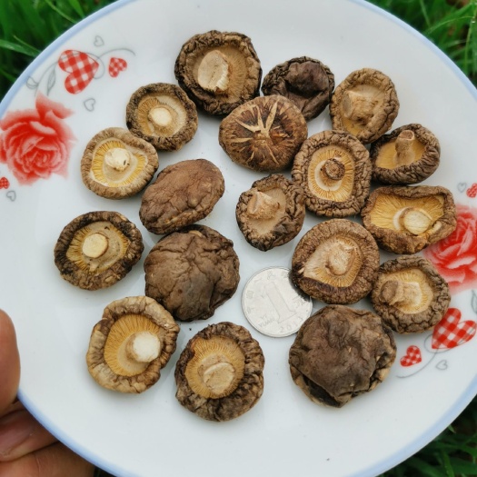 优质精品干香菇，菇香肉厚 ，价格美丽质量可靠