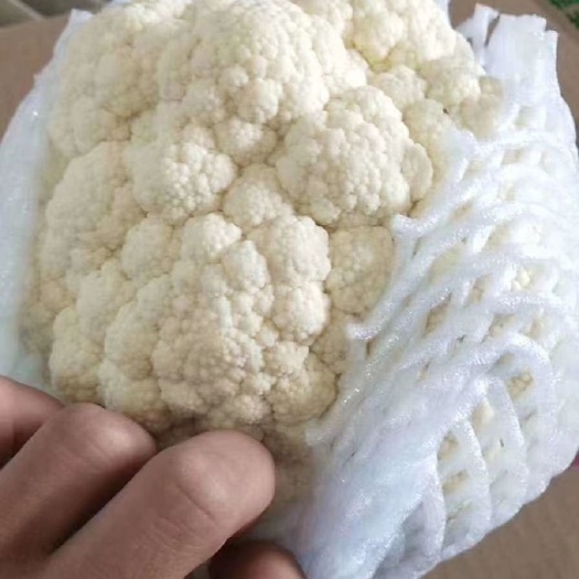 白菜花大量供应各大市场，超市，电商