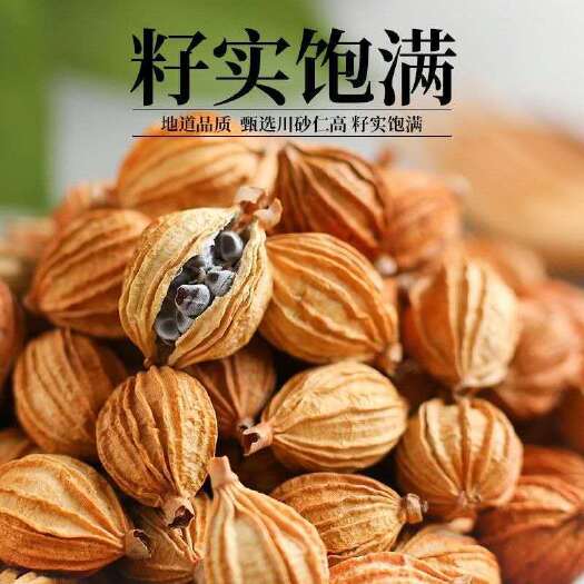 玉林香砂 开口香调味香料 调味品 火锅底料 四川贵州产地批发