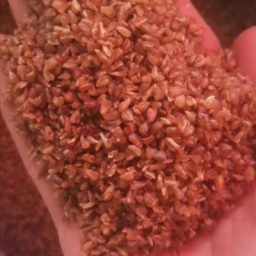 贵阳苦荞米
